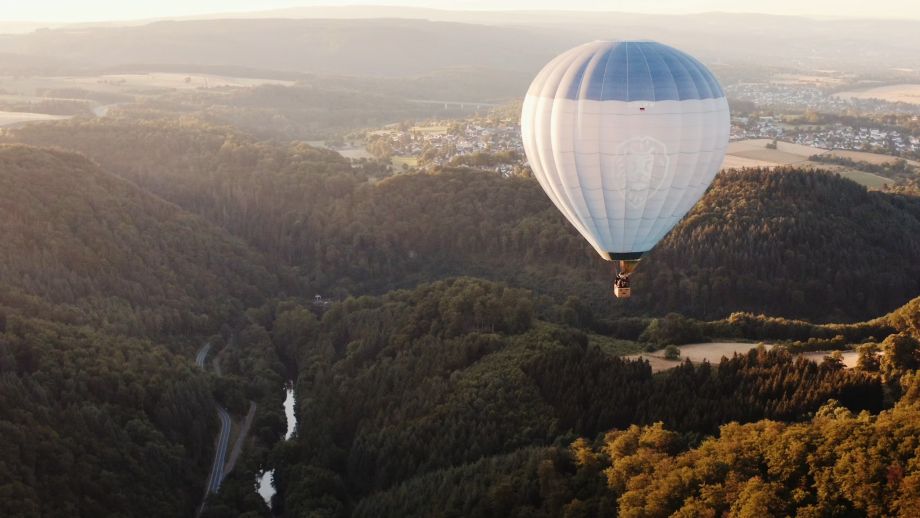 L&ouml;wenstein Medical
